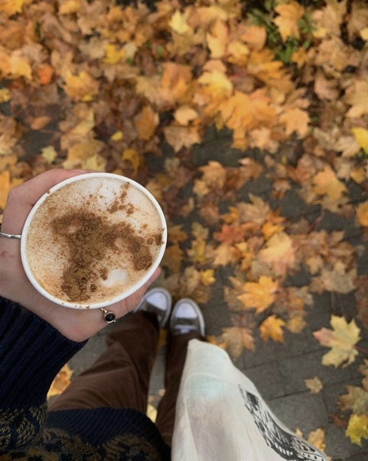 awhlars's tweet photo. life starts all over again when it gets crisp in the fall https://t.co/7GhN0MncQr
