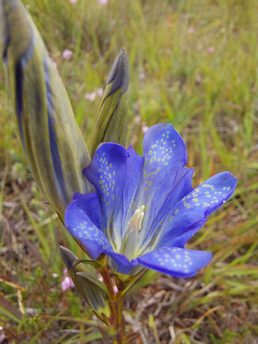 Commoning Family tweet media