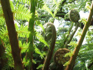 PS Our Ecologies of Collective Imagination Huddle had many applications but we hope to engage everyone in the next phase too! #wts 💚