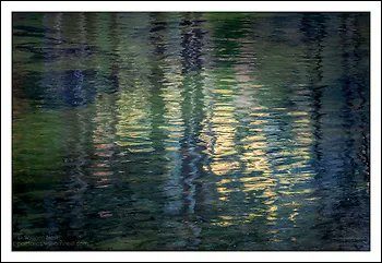 Beyond Words Bookshop tweet media