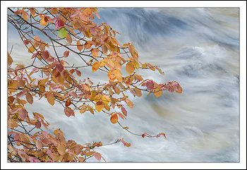 Beyond Words Bookshop tweet media