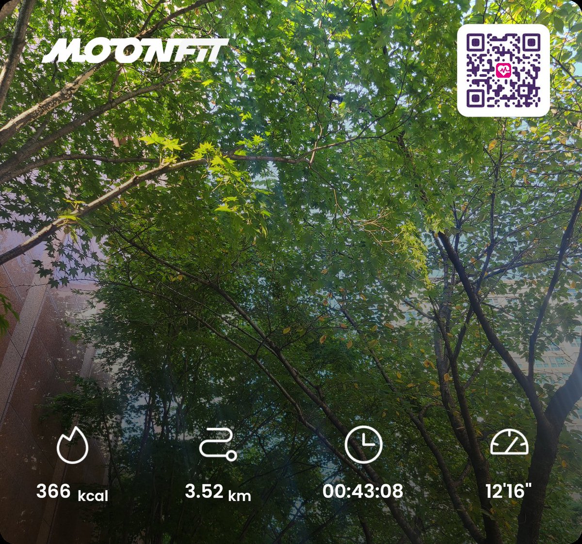 bada7935's tweet photo. λ μ¨κ° λ무 μ’λ€!
κ±·λκ²λ§μΌλ‘λ νλ§λλ€!
#MoonFit #MoveToBurn #Moonbeam
#Beast #Beauty #M2E #NFT
#Web3Fitness
#clanfeature
#IncentivizedTestnet
#fitsnapchallenge
Daily Mission complete!
KOREA Team Fighting! π₯π₯π₯
@MoonFitOfficial https://t.co/U2Wq1nsBBn