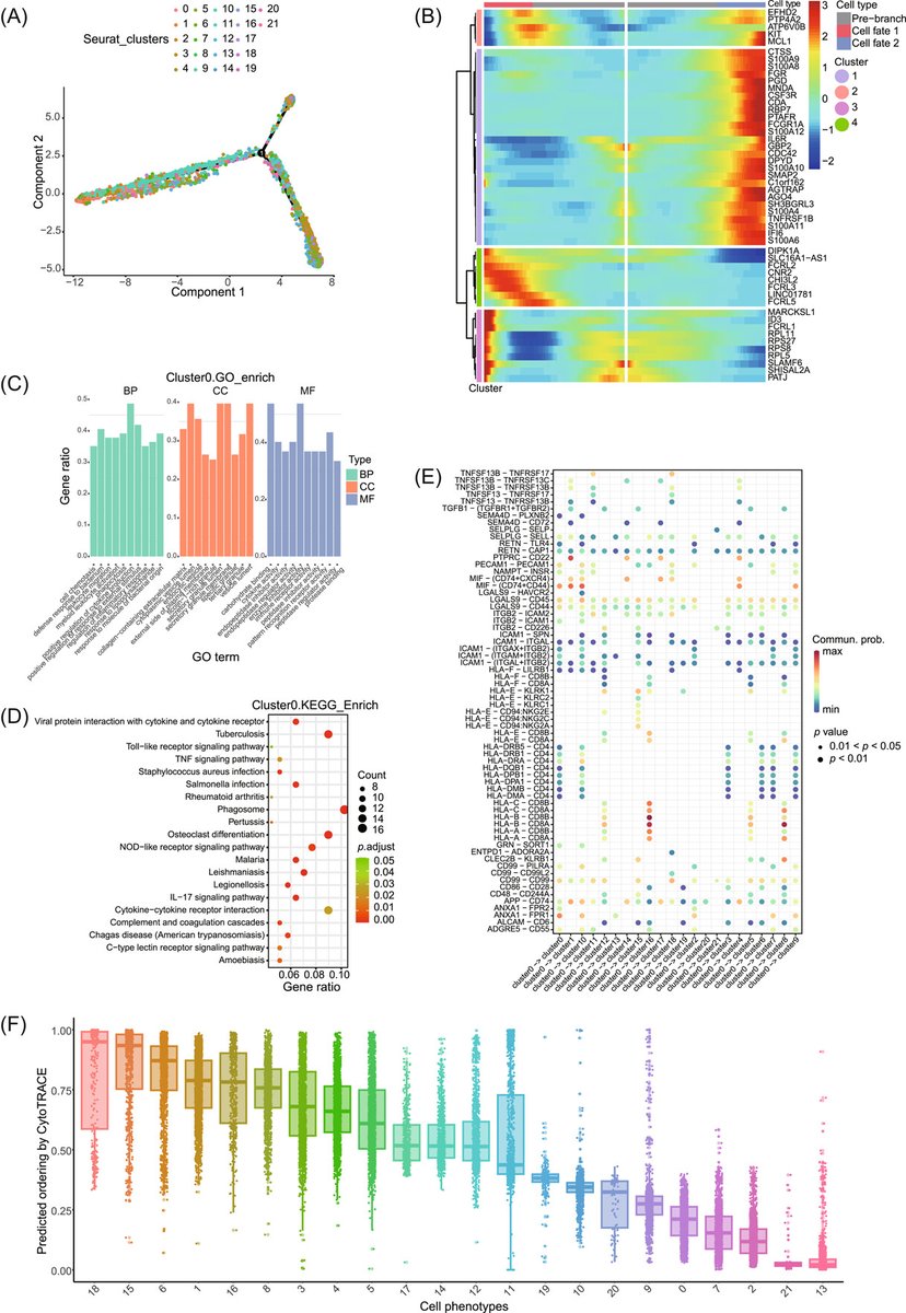 ScRNAPip: A systematic and dynamic pipeline for single‐cell RNA sequencing analysis Available at: github.com/OpenGene/scrna… #Bioinformatics #singlecell #RNAseq #pipeline @wileyinresearch @wileymicrobio onlinelibrary.wiley.com/doi/full/10.10…