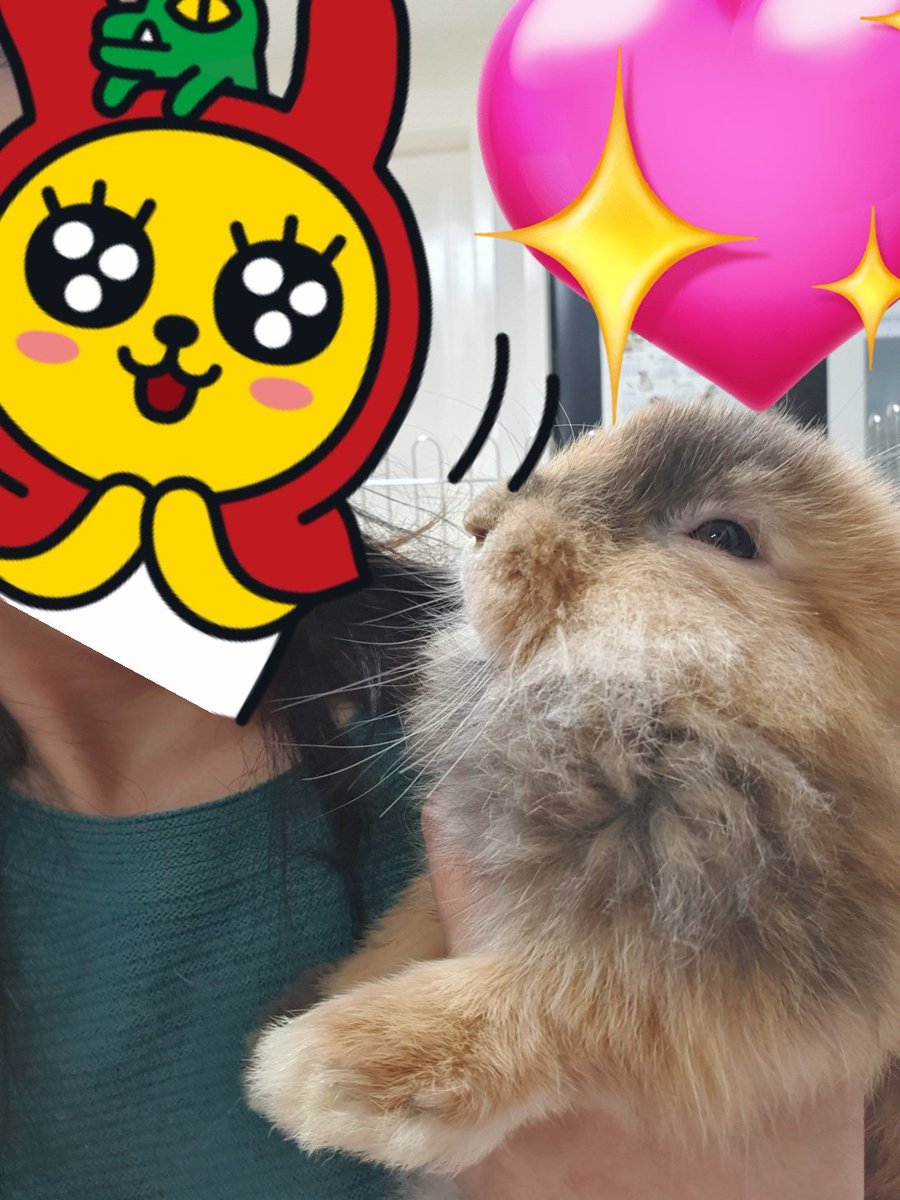 질풍 폭풍이는 계속 가족을 기다리고 있어요🐇🐇!!!
임보누나가 집을 잠깐 비우게 되어 대신 들러주신 지인분께서 정말 너무너무 귀엽다고 미모 킹정이라 하셨네요🥹
우리 이쁜이들 이제 가족만 찾으면 됩니다!!!!!