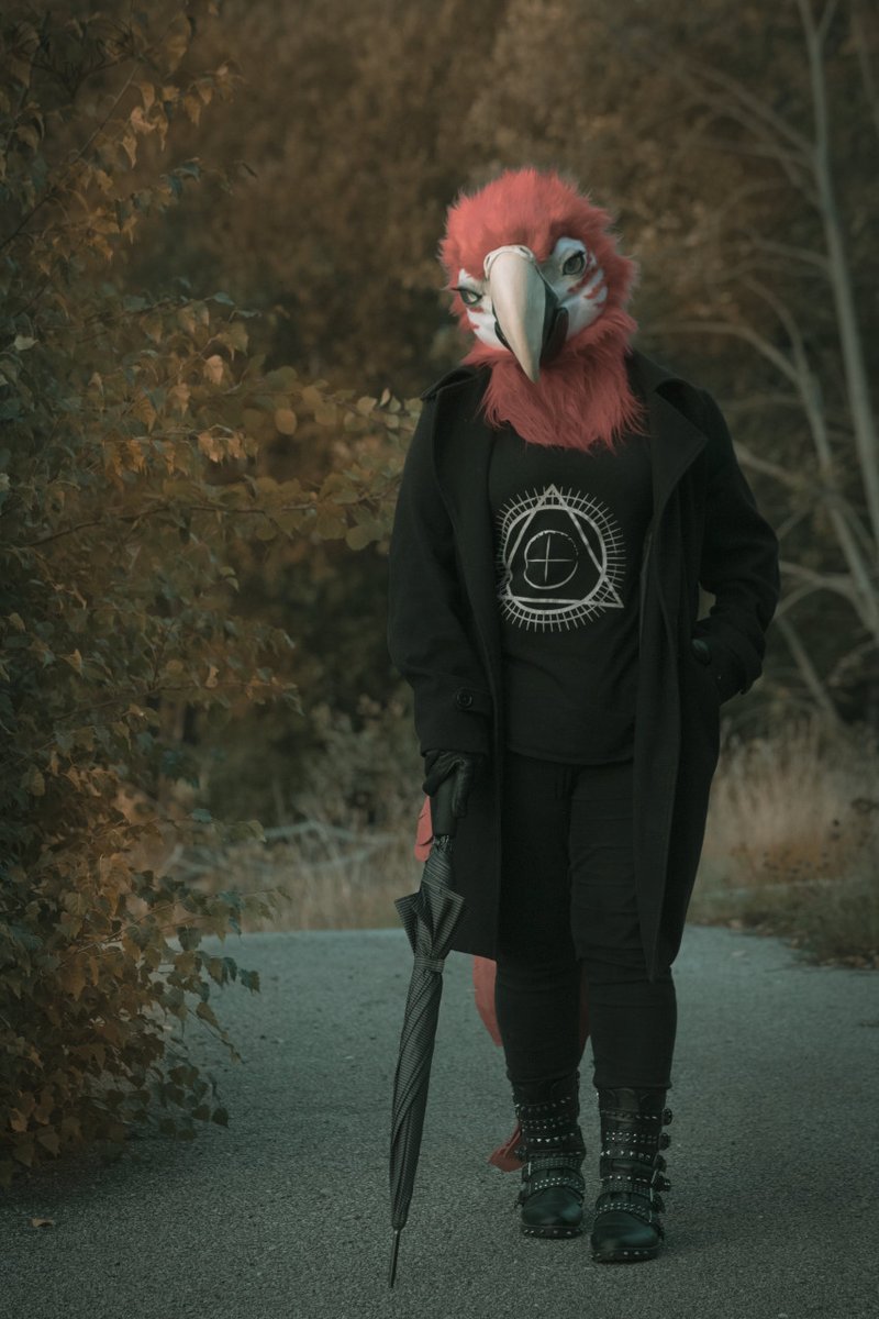 September 1st, the spirits are stirring and the trees are preparing to shed the burden of their leaves. 🍎 🍂 🍁