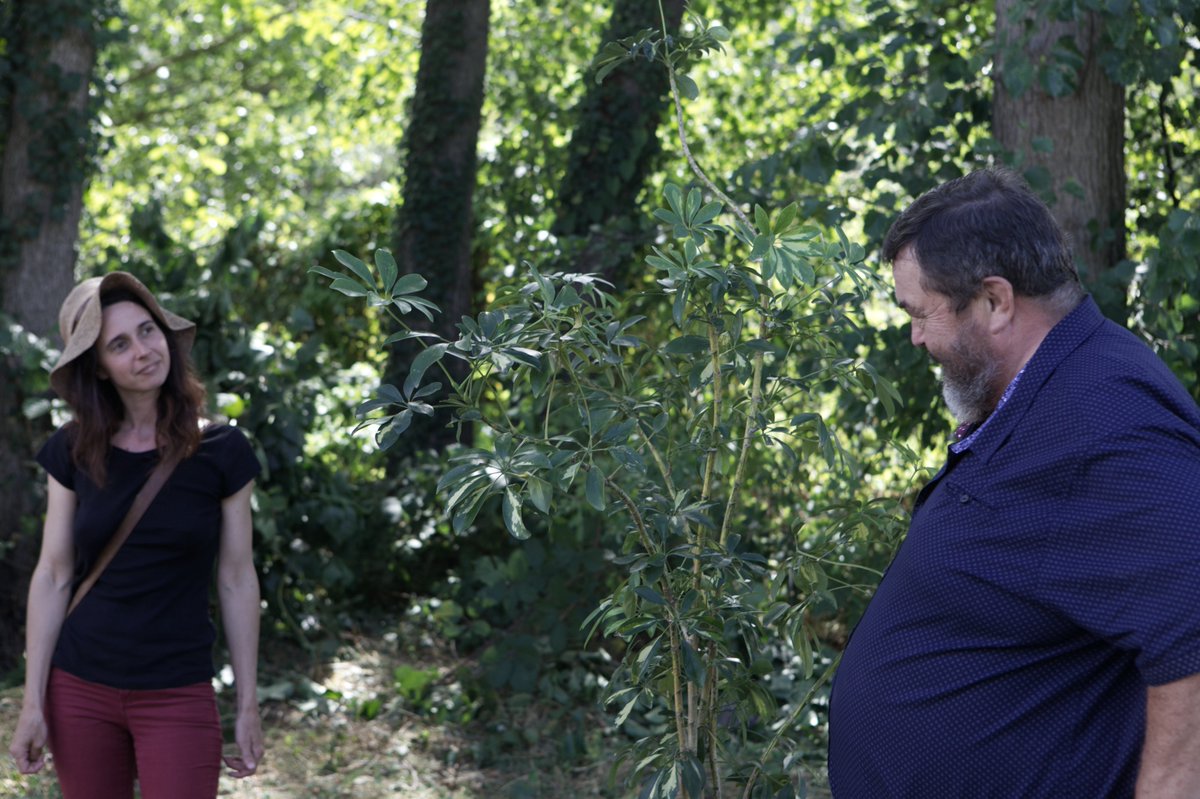 villesdeaux's tweet photo. ✨Vernissage de Crépuscule artistique ✨ 
Le duo d'artistes Scenocosme a proposé 4 œuvres interactives à Saint-Nectaire, dans le cadre du Festival Horizons Sancy et du projet Culture Bains  
Avec @VIDEOFORMES @ANCTerritoires @clermont2028 @otsancy
© Loiez Deniel https://t.co/PlWtAi30yh