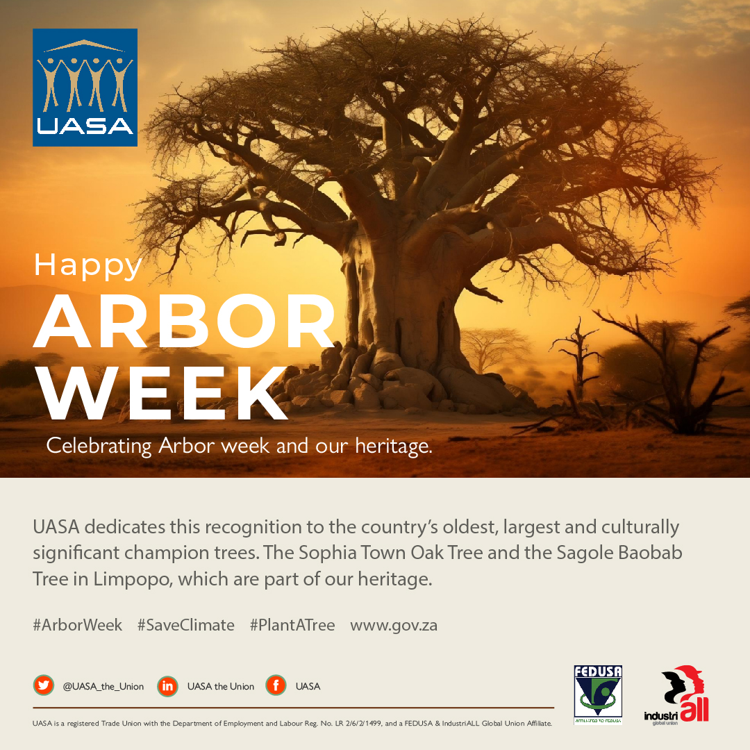 UASA_the_Union's tweet image. Happy Arbor week
Celebrating Arbor week and our heritage.
#ArborWeek
#saveclimate
#plantatree