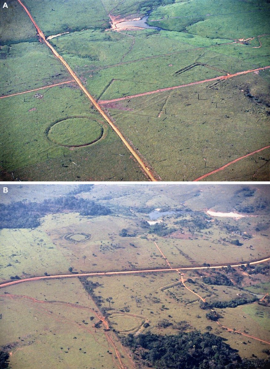 I was blown away about #Neolithic #Amazonia farming as early as 2,050 BC and designing networked #urban jungle settlements! Read more as I tackle, Chapter 7 of #TheDawnofEverything

open.substack.com/pub/frontalobe…