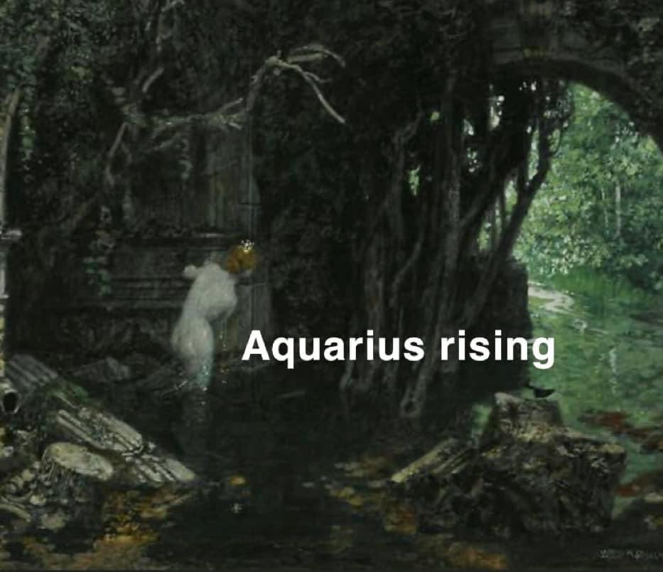 🌛 (@goatally) on Twitter photo 