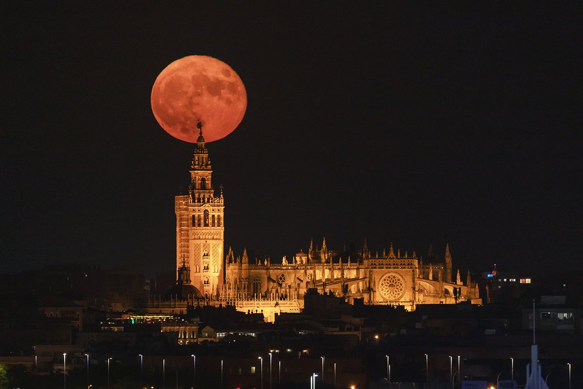 alfonso_mora90's tweet photo. Superluna y la Giralda, Sevilla mágica https://t.co/sCt7wvnkWf