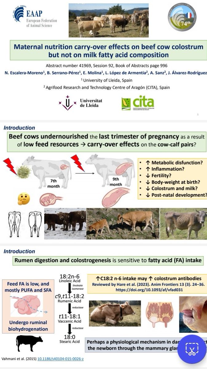 #Fetalnut en <a href="/eaap2023Lyon/">Lyon EAAP</a>  <a href="/EAAPofficial/">EAAPofficial</a>  <a href="/UdL_info/">Universitat de Lleida (UdL)</a> <a href="/CITAAragon/">CITA Aragón</a>