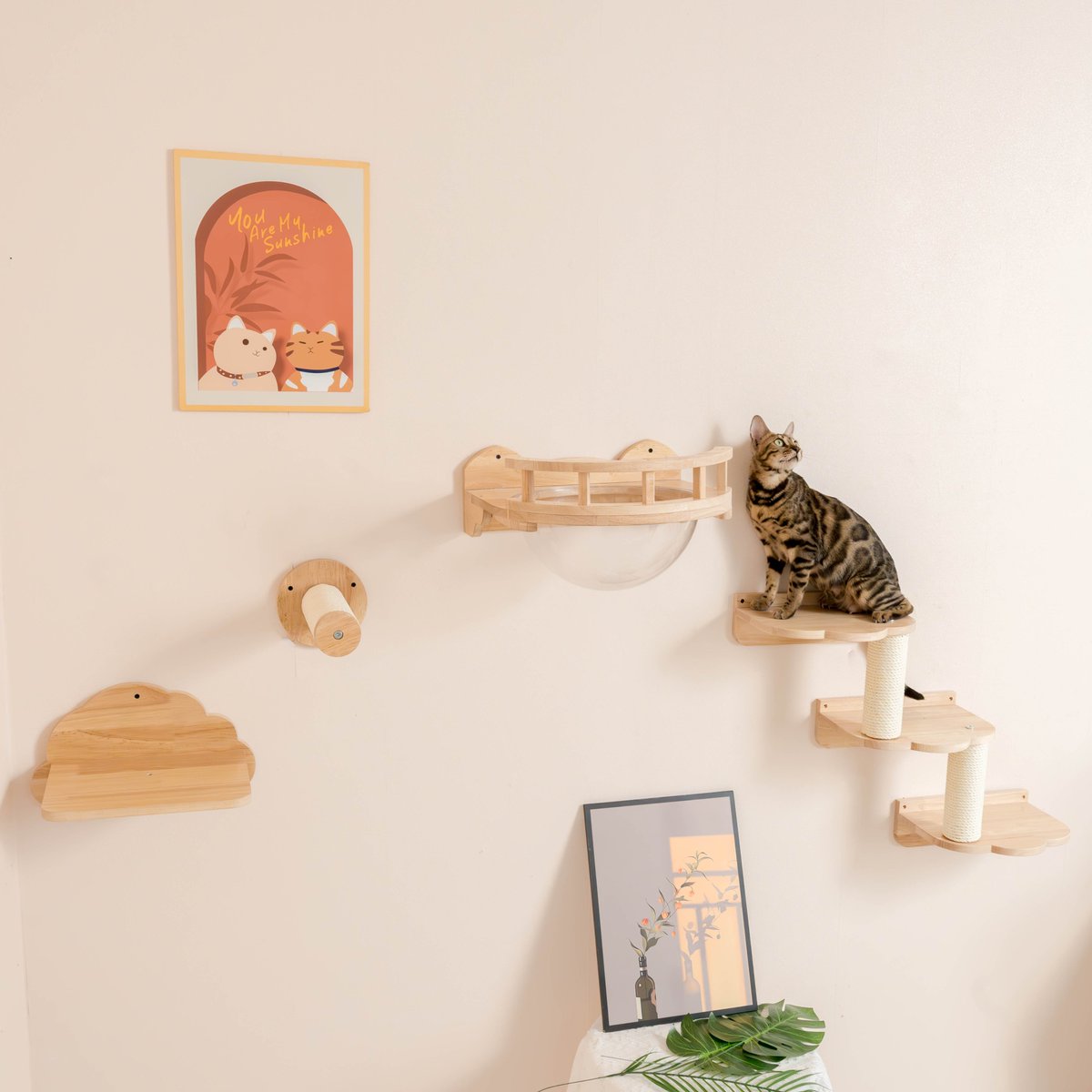 Why does your cat need a cat wall stand? The Cat Wall Frame provides your cat with space to exercise, explore and be safe. It satisfies the cat's nature, reduces boredom and anxiety, enhances the interaction between you and the cat, and makes your pet experience more enjoyable.