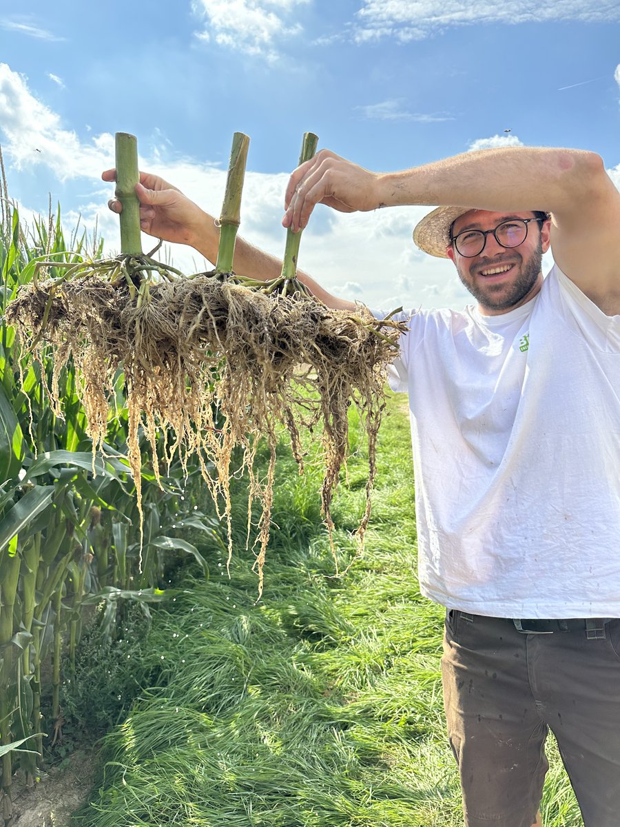 Welcome to the group - Elron Wiedermann joined us as  a PhD fellow and will work within @EJPSOIL SoilCampaC.  Last week he directly started with soil and biomass sampling in maize  to get an understanding about the effect of soil compaction on root distribution and SOC dynamics.