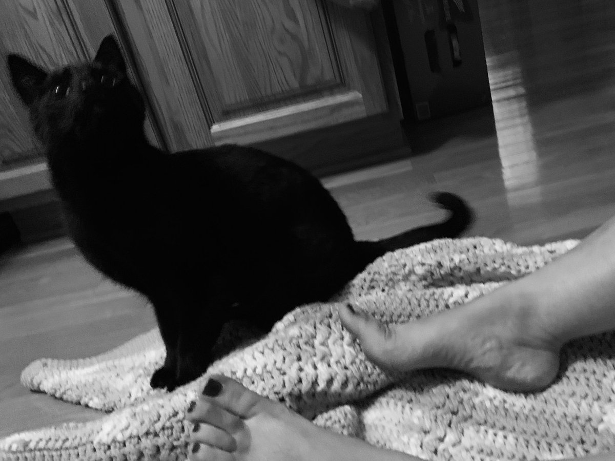 Peachy_Feet01's tweet photo. Happy almost Fall y’all. Kicking off the pre-season with something different. Hope you like. #footfetish #kittyfeet #footlove #lovethyfeet #charmedfeet https://t.co/ifn8zVkF3d