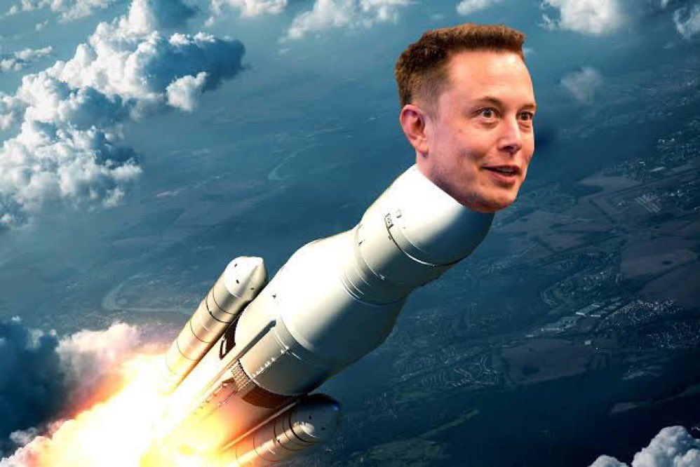 Not Elon Musk tweet media