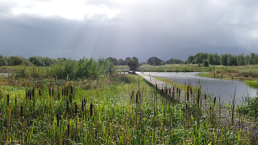 wandelnet's tweet photo. #weekendwandeltip ๐ฅพ Ken jij De Schammer al? ๐ Wandel op 3/9 mee met een gids vh @UtrLandschap en ontdek mooie struinroutes! ๐ Lees https://t.co/y3vXwfhVtc
๐ธ Utrechts Landschap
@ProvUtrecht #schammer #natuur #wandeling #weekend #utrecht #wandelgids #gids #utrechtslandschap https://t.co/BfMjFBMRG3
