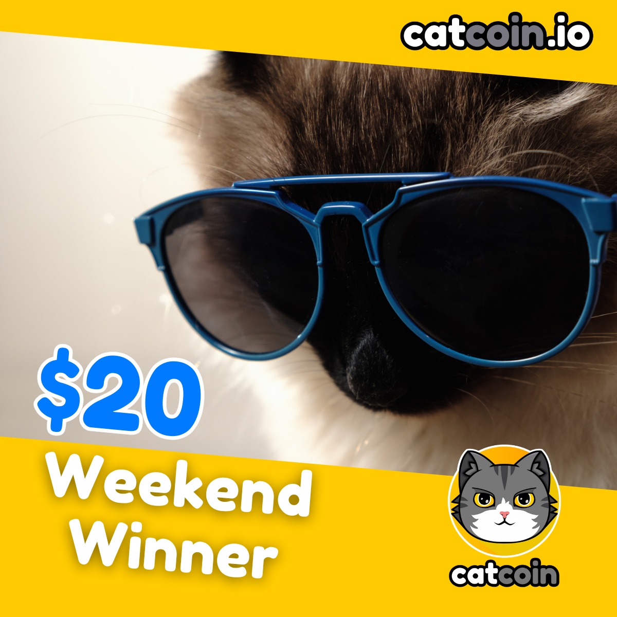 officialcatcoin's tweet photo. The weekend is here! - $20

• Follow @officialcatcoin
• Retweet
• And comment #Catcoin #BUSD #giveaway

Ends September 2nd at 8am UTC https://t.co/x8IeAAiPGc