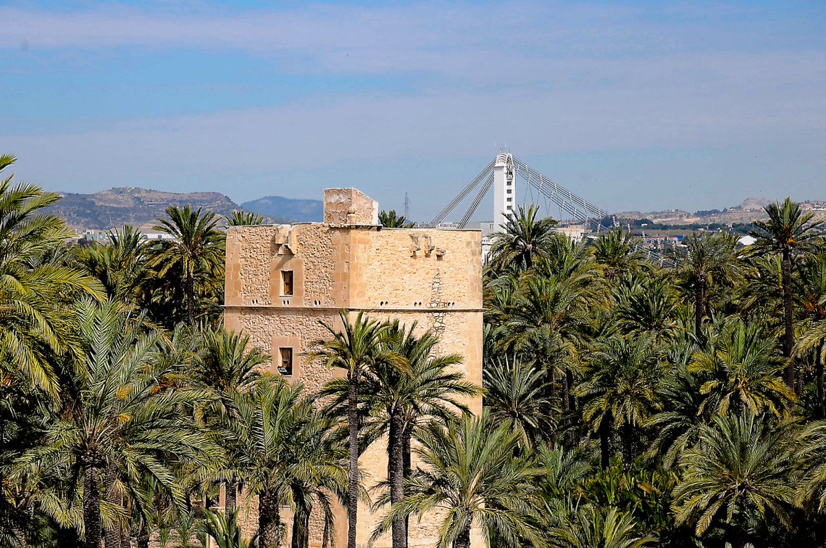 visitelche's tweet photo. Mirador del palmeral: la Torre de los Vaillo formaba parte de una serie de edificaciones que, en su origen, tenían un carácter defensivo. 
Horario: sábados y domingos de 10 a 14 horas. Entrada gratuita. 
🌐https://t.co/kQKtNaiGq0
#Elche #visitelche #monumentos https://t.co/SA0Kq7c3JX