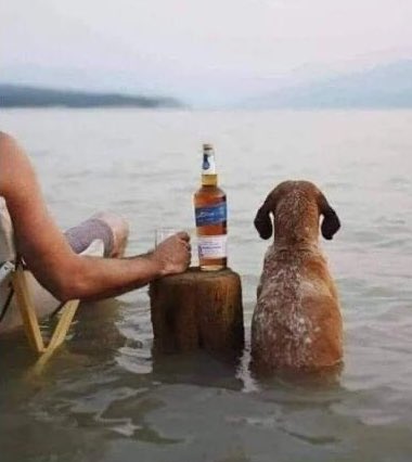 А ведь водка или виски стоит дешевле психолога …
А выслушать тебя может и собака ! Как то так и живём…