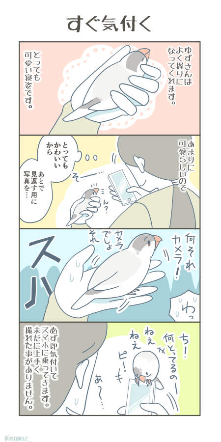 あるある文鳥さん。どんなに静かに手を動かしても、何故か絶対気が付きます。
#文鳥 #Buncho
#漫画が読めるハッシュタグ