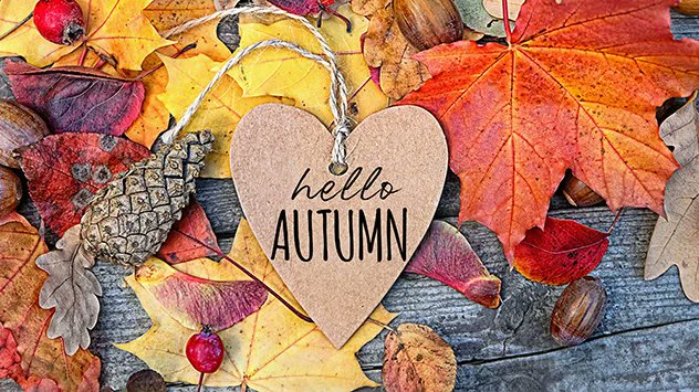 MakcabK's tweet photo. #HelloAutumn 🍁🍂☕️🥧📚 https://t.co/a29AKXlb5g