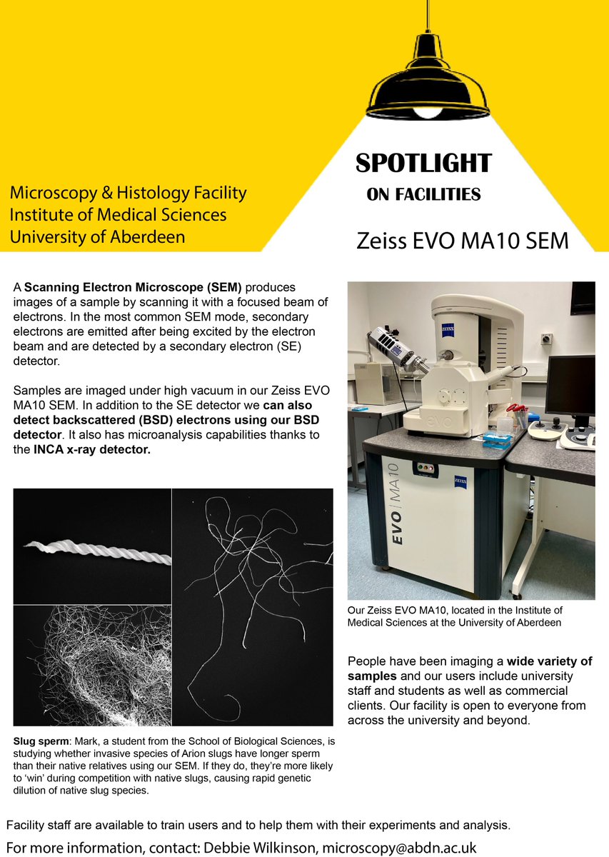 Scottish Microscopy Society (@scotmicro) on Twitter photo Check out this months Spotlight on Facilities on SEM from <a href="/Abdn_Micro/">Aberdeen Microscopy</a>! scottishmicroscopygroup.org.uk/spotlight-on-f… Check out this months Spotlight on Facilities on SEM from <a href="/Abdn_Micro/">Aberdeen Microscopy</a>! scottishmicroscopygroup.org.uk/spotlight-on-f…