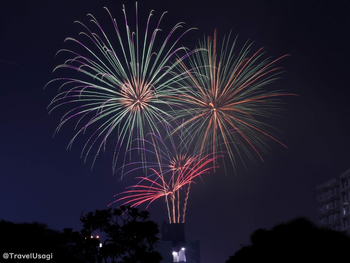 Sumidagawa Fireworks Festival #Tokyo #Fireworks #花火 #隅田川花火大会 #travelphotography
