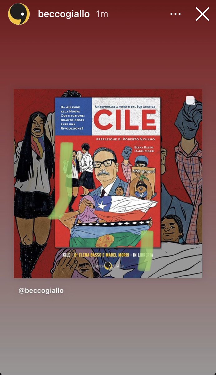 Mabel Morri tweet media