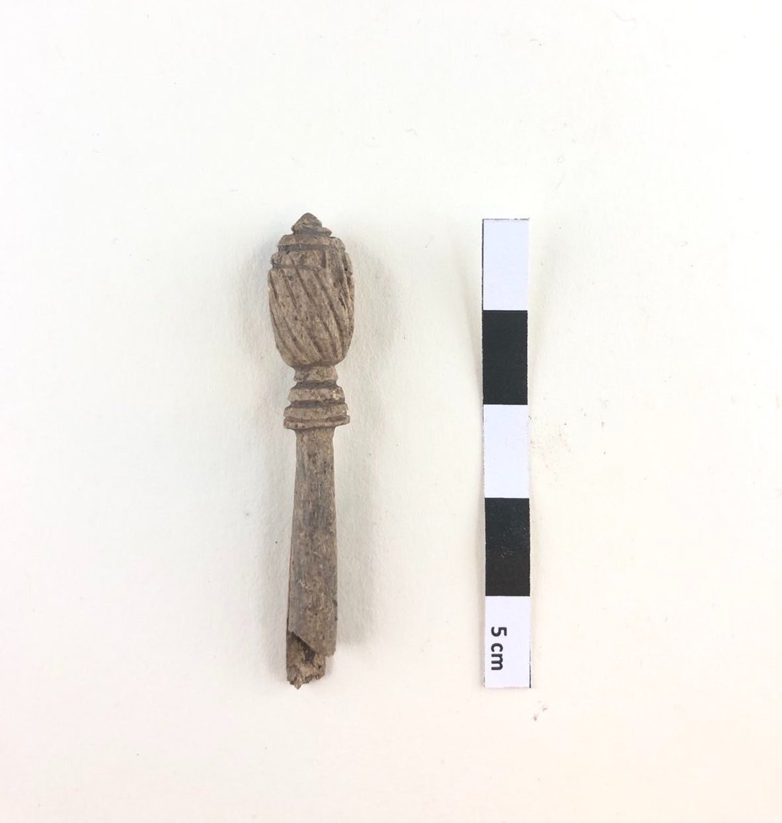 For #FindsFriday fresh from the ground: a lovely carved bone hairpin with a pine cone head. 2nd-3rd century. #RomanArchaeology