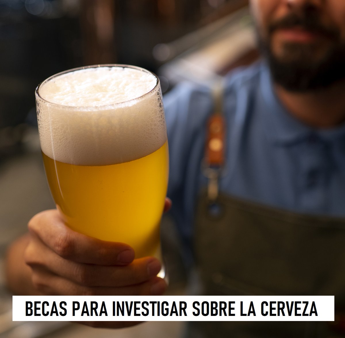 Brindemos por estas #becas para investigar sobre la #cerveza!!🍻😎
+INFO:aprendemas.com/es/blog/becas/…
