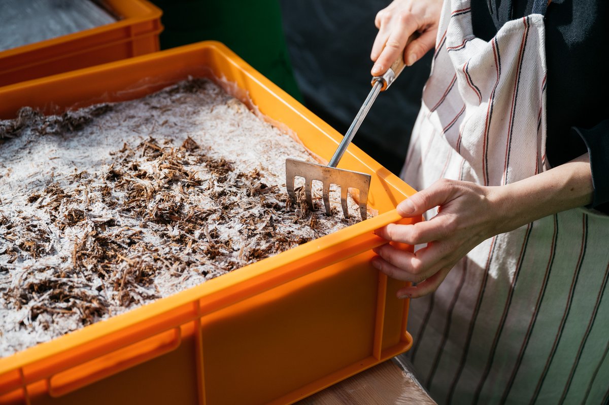 Stefanie Dowidat tweet media