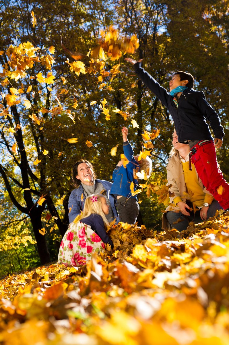 When the leaves turn yellow and red 🍂🍂🍂 Top things, you can do in Norway in September! visitnorway.com/things-to-do/s… 📸 CH/VisitNorway.com #norway #september #norwaymonthbymonth