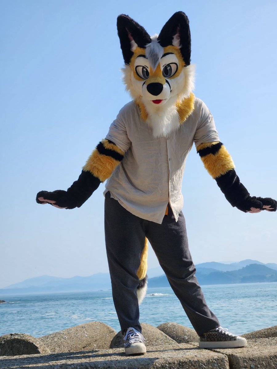 pgm132435's tweet photo. #FursuitFriday #fursuit
토카토까~ https://t.co/0GkZ3mjogP