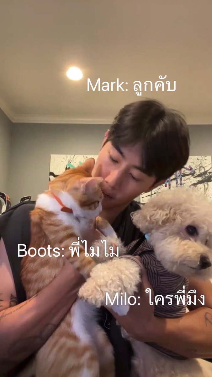 สถานการณ์ในภาพ5555555555555555555555555555555555555555555