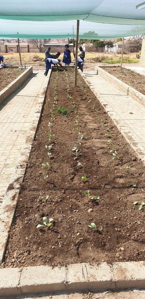 These will live longer than our visit in this community..<a href="/AfricanBank/">African Bank</a>