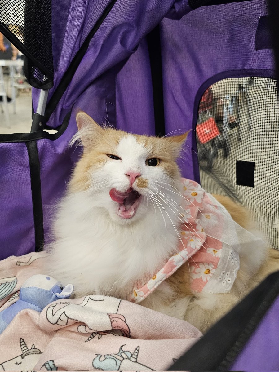 Coffee bae tweet media