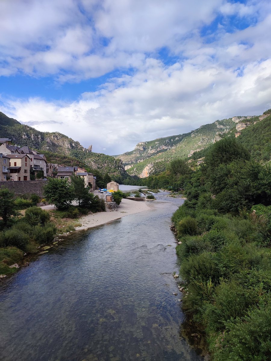 Mariano Botta tweet media