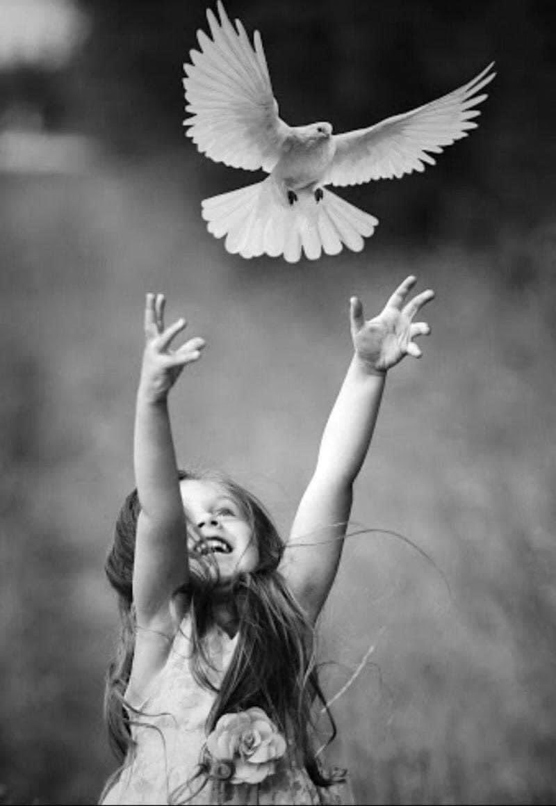 Ankara_KHK's tweet image. #Barış tacı, #saltanat tacı ile kıyaslanamayacak kadar güzel ve değerlidir... Epicure
Dileğimiz; 
#1EylülDünyaBarışGünü nün
Ülkemizde #sosyal #ekonomik #psikolojik yıkımlara yol açan #KHKlar ın da ortadan kalkması için başlangıç olmasıdır... 
@yilmaztunc