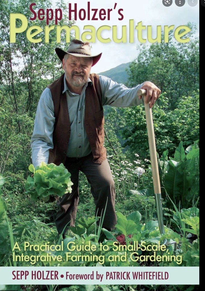 Innerdevcrypto's tweet image. If you interested in growing food and:

- do not want to weed
- do not want to spend more than couple of hours a week ´working´ in garden
- want low maintenance &amp;amp; high yields/harvests
- want chemical/pesticide free food
- want to mainly relax and enjoy
- have no idea how to begin