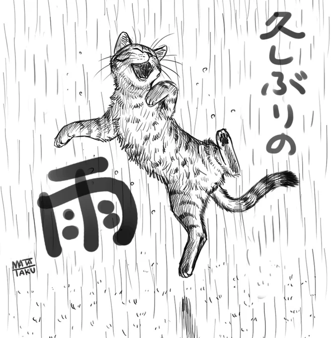 久しぶりの雨!!
恵みの雨になって!! 