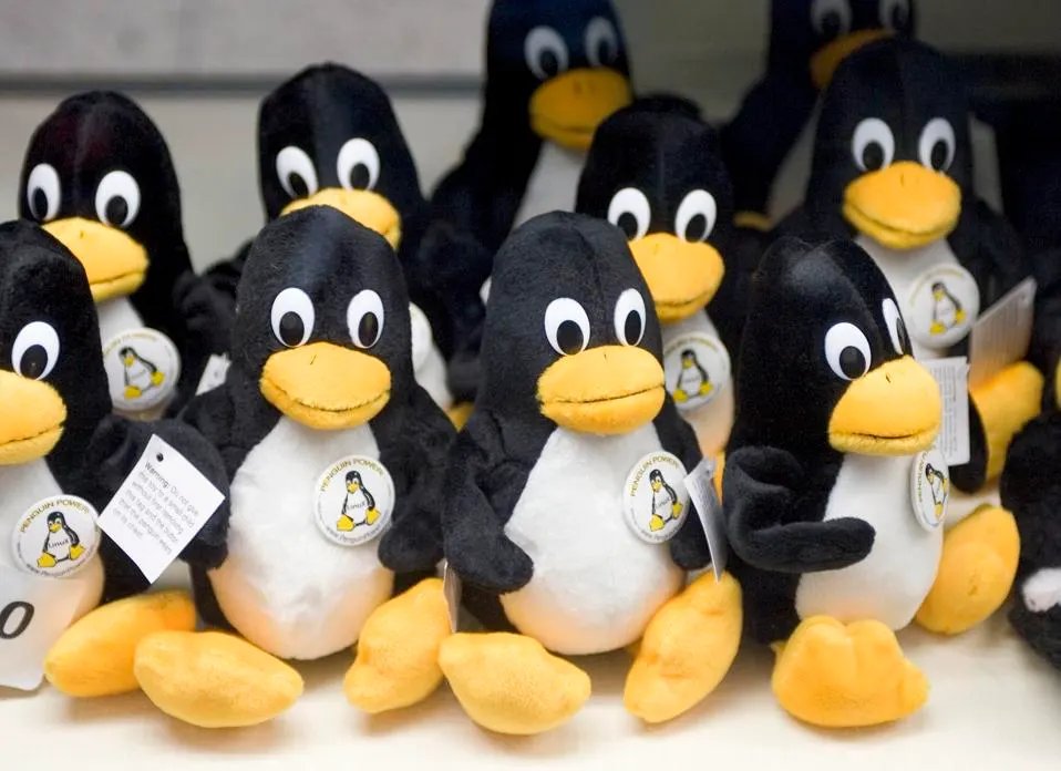 deepaksharma_18's tweet photo. In this article, Alan Clark delves into the difference between confidential and traditional computing and how security can unlock innovation in critical industries. Find out more here: 👉 

#SUSEChampions #SUSE #confidentialcomputing https://t.co/AAh6KaSbHm https://t.co/LIMBJYMguo