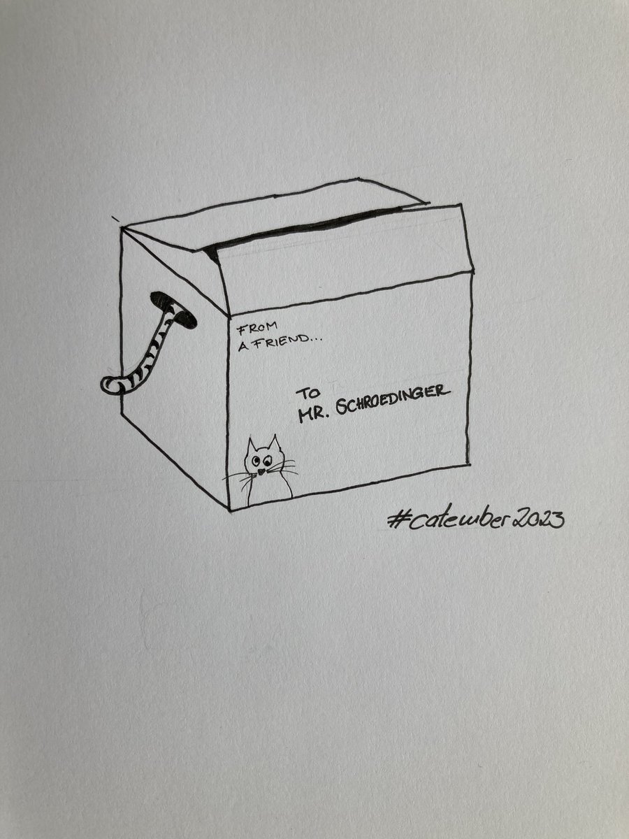 #catember2023 #kleineKunstklasse
Tagesthema: Pappkarton 

Was da wohl drin ist? 🤔