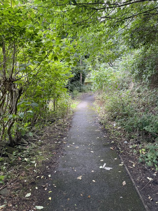 Sometimes we need to stop and smell the roses 🌹 #nature #trail #wildlife #path #motivation https://t<a href="/tag/nature"class="tags"><span>#nature</span></a><a href="/tag/motivation"class="tags"><span>#motivation</span></a><a href="/tag/wildlife"class="tags"><span>#wildlife</span></a><a href="/tag/trail"class="tags"><span>#trail</span></a><a href="/tag/path"class="tags"><span>#path</span></a>