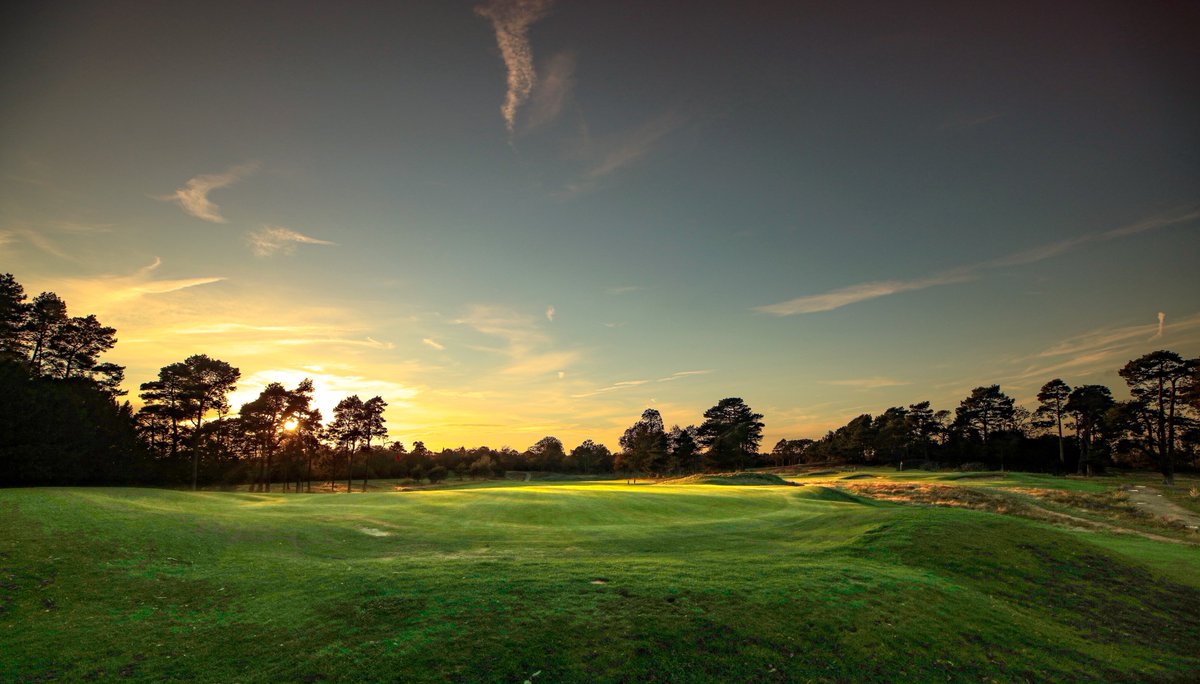 The course looking majestic in the morning sun.

#golf #golfing #golflondon #londongolf #abercromby #colt #englandgolf #goldenage #golfphotos #golfphotography #golfcourses #golfcourse #golflife #restoration #addington