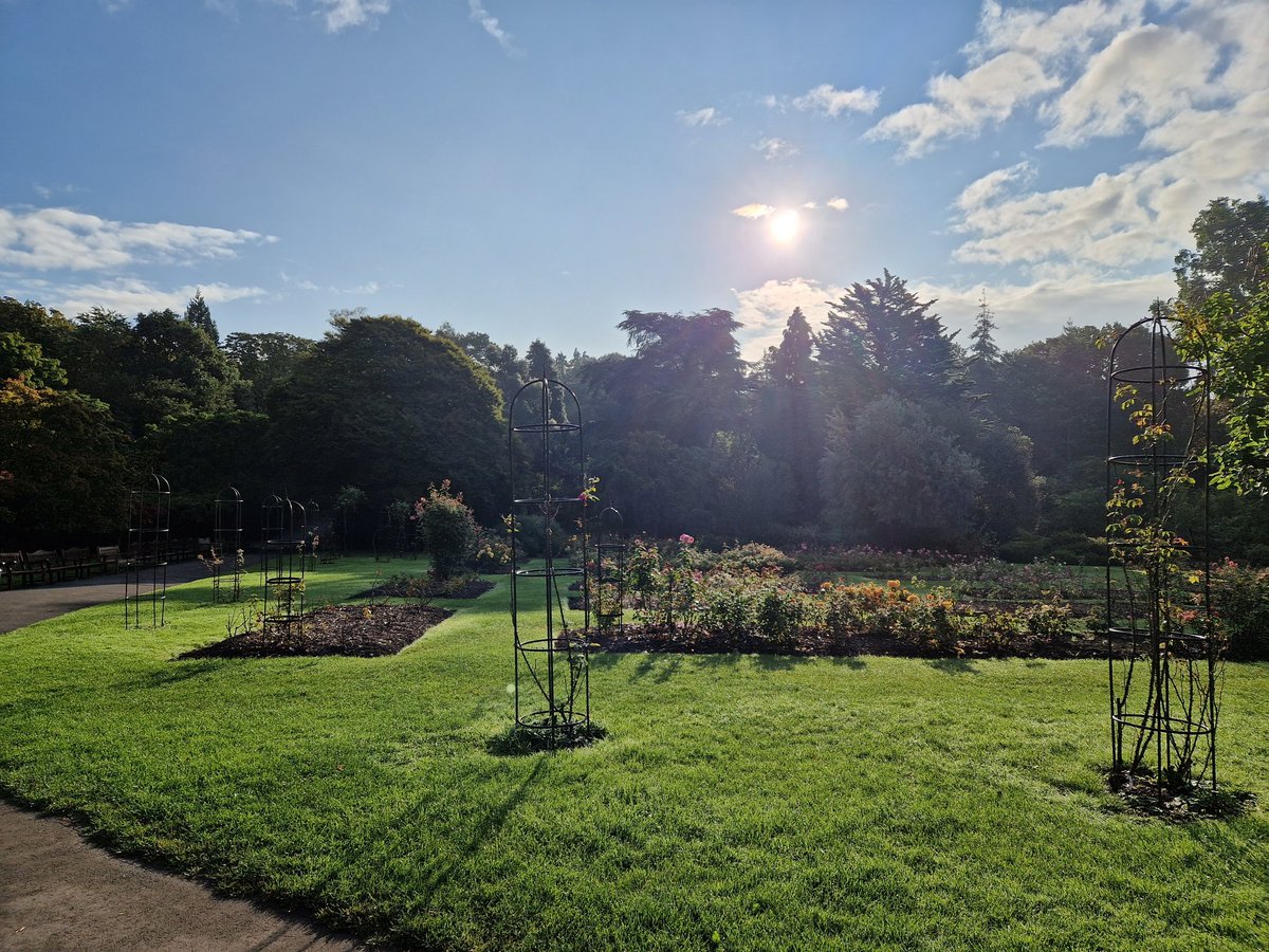 info_specific's tweet image. ☀ Some beautiful morning #SolarSnaps taken at Roath Park, Cardiff. Thanks @chrissoalarch8!