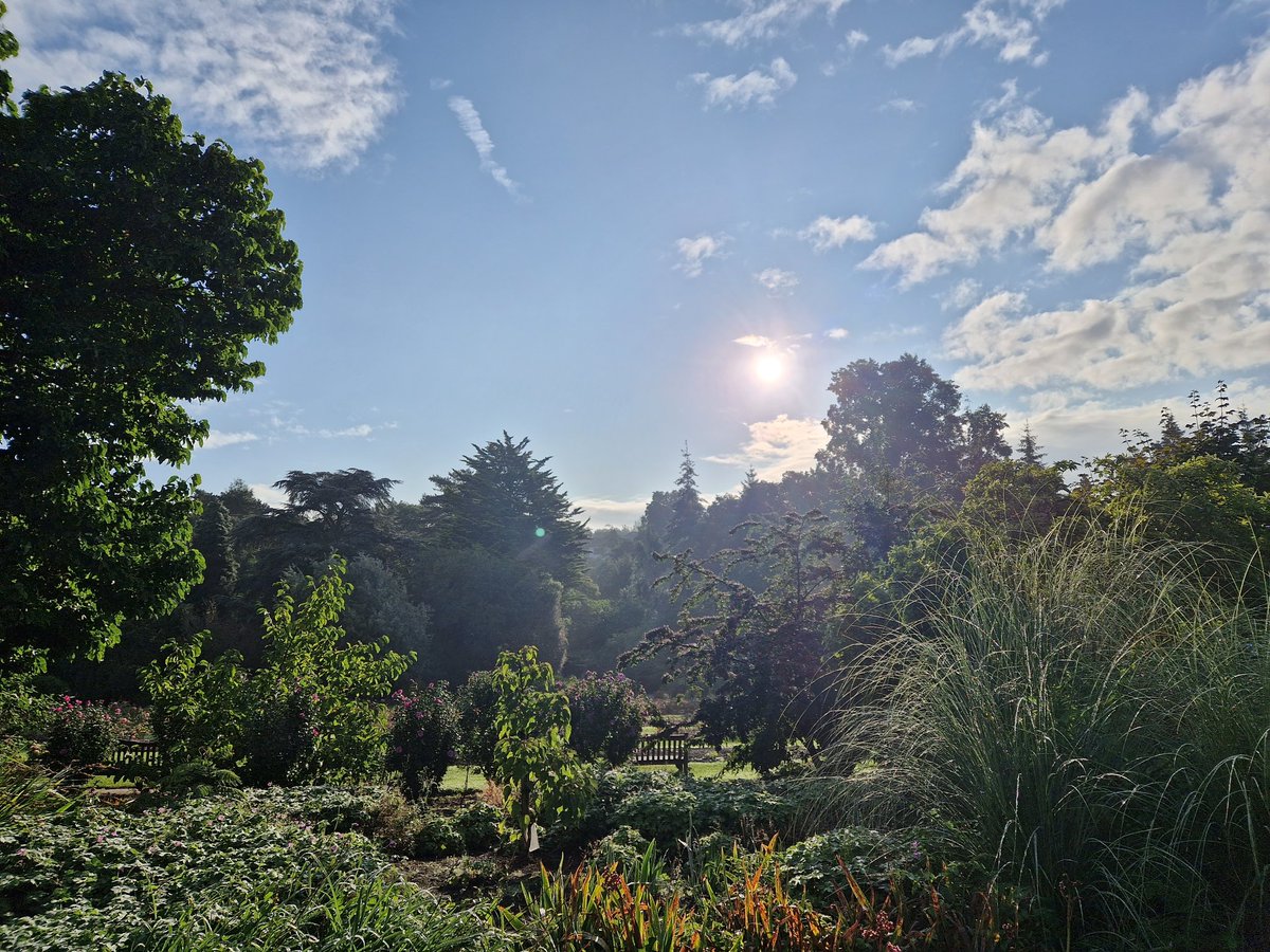 info_specific's tweet image. ☀ Some beautiful morning #SolarSnaps taken at Roath Park, Cardiff. Thanks @chrissoalarch8!