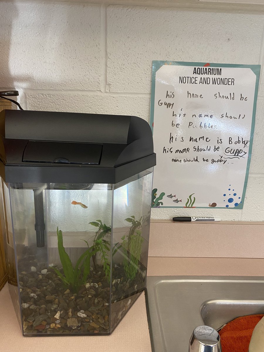 Ms. Felegian tweet media