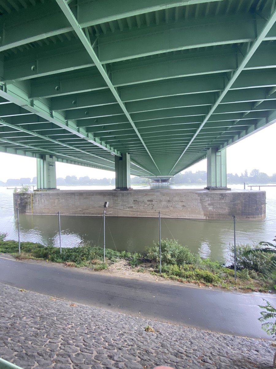 „So sollen sie nicht in der Nähe von Gewässern, beispielsweise dem Rheinufer, abgestellt werden können…“ 
Grüße gehen raus nach Paris. #elektroschrott