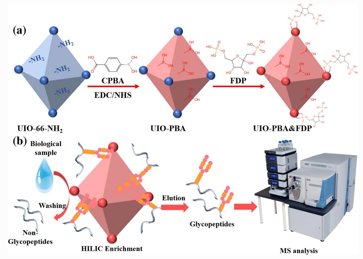 Boronic acid and #fructose-1,6-diphosphate dual-functionalized highly hydrophilic Zr-MOF for #HILIC enrichment of N-linked #glycopeptides
by Ren’an Wu et al @dicp_cas @UCAS1978 #MOFs #chromatography #protein #glycosylation

link.springer.com/article/10.100…