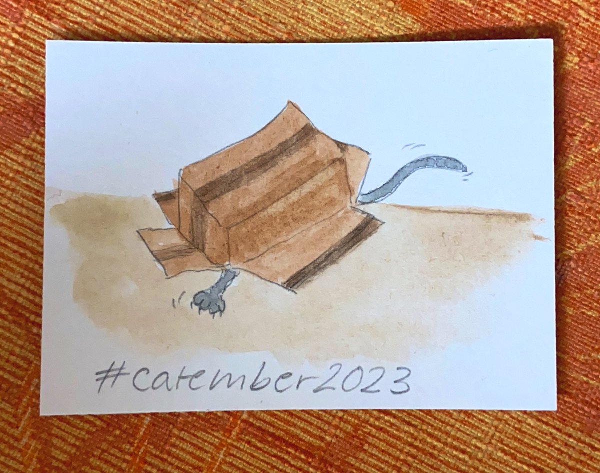 Meerhund's tweet photo. Ach... vielleicht noch ein paar Outlines... aber vielleicht bin ich auch schon fertig... 🤔
#catember2023 #catember #pappkarton #kleineKunstklasse https://t.co/IdK1myLOrJ